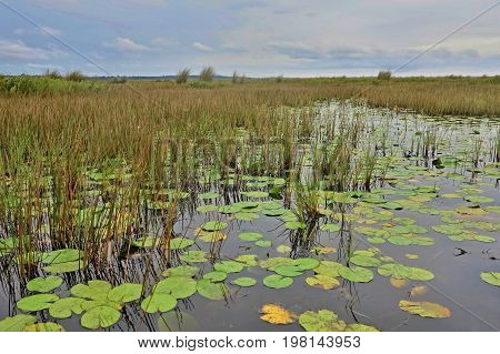 Amazing nature in african congo, wild and nature in africa, beautiful landscape view, green jungle and mountains