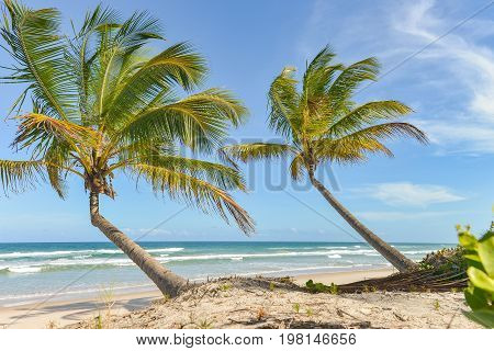 Amazing View Of The Beaches Near Itacare