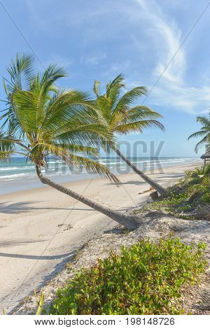 Amazing View Of The Beaches Near Itacare