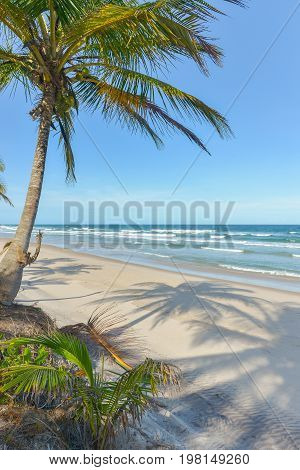 Amazing View Of The Beaches Near Itacare