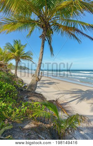 Amazing View Of The Beaches Near Itacare