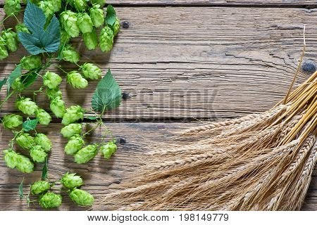 hop cones on the old wooden floor
