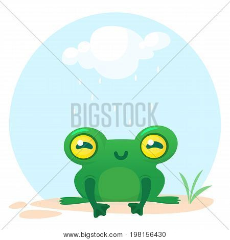 Cute Frog Cartoon Character. Vector illustration isolated