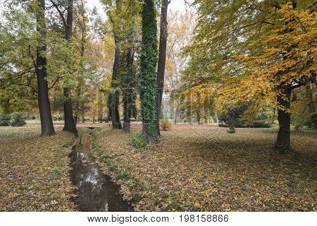 Park with trees and small creek in the fall and foliage