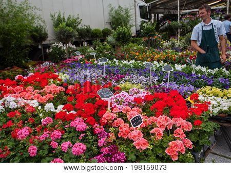 Ghent Belgium - June 26 2011: Flower market Kouter in Ghent