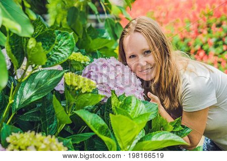 Young Woman On The Background Of Light Pink Hydrangea Blooming In The Garden