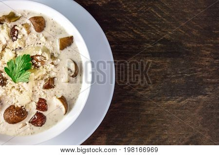 A closeup of a plate of a mushroom cream soup with champignons, cremini, fresh parsley,  with grated cheese, on a dark rustic background texture, with a place for text