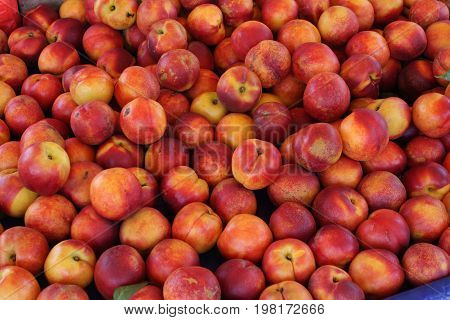 resh Organic Peaches Heap Of Fresh Ripe Peaches