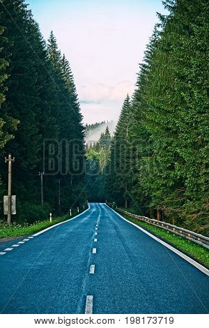 Straight empty asphalt raod in forest with misty mountains in background
