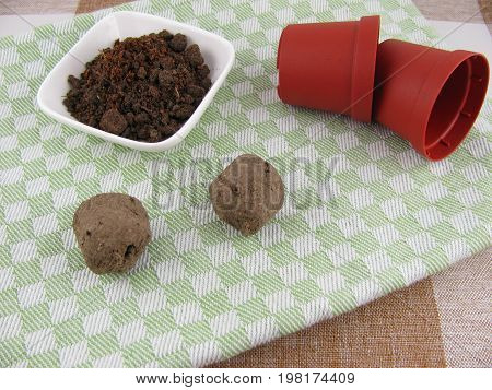 Seed balls for flowers with fresh potting soil