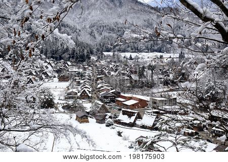 A Shot of Shirakawa looking through the trees on the mountainside