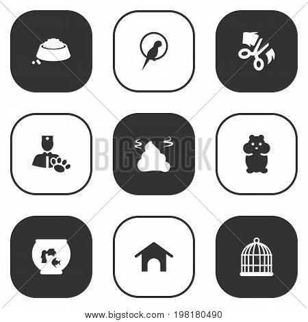 Collection Of Rat, Food, Pile And Other Elements.  Set Of 9 Pets Icons Set.
