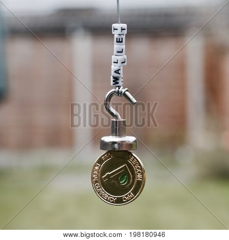 Gold Peercoin Coin Wallet