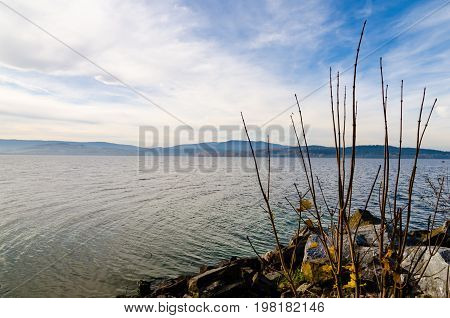 Shore Of Lipno Lake  In Autumn