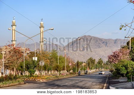 Lush green Road side in Hayatabad Town Peshawar