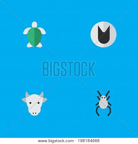 Elements Tomcat, Tarantula, Turtle And Other Synonyms Cat, Turtle And Widow.  Vector Illustration Set Of Simple Fauna Icons.