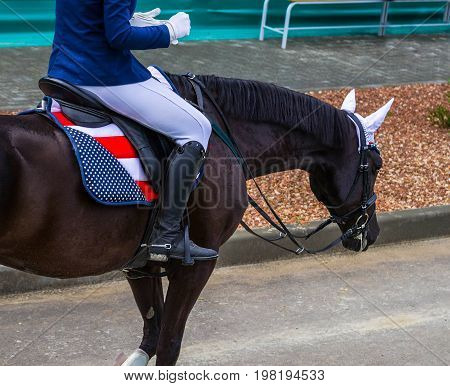 Black dressage horse and girl at show jumping after taking part in competition. Equestrian sport background. Glossy black horse portrait during dressage competition.