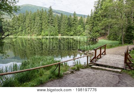 Lake in forest - Tarn Vrbicke pleso Slovakia