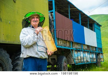 A beekeeper man holds a frame with honeycomb-filled honeycombs on the background of his beegarden