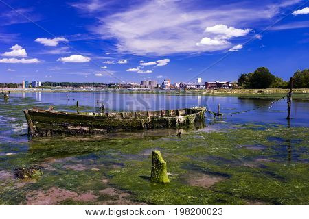 Derelict boats in the backwaters of Holes Bay Poole Harbour at low tide