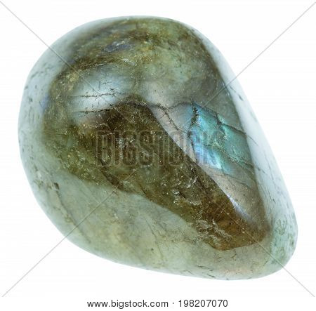 Tumbled Labrador (labradorite) Gemstone