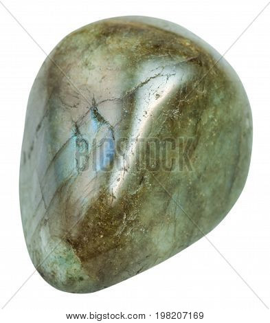 Tumbled Labrador (labradorite) Stone Isolated