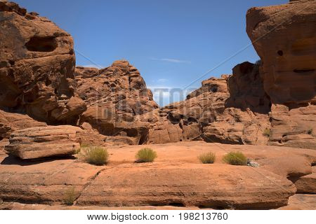 Landscape into Valley of fire in Nevada with mountains in background