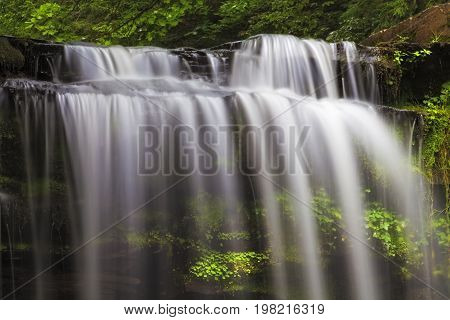 Top of Bozenkill Falls in Spring Christmas Sanctuary
