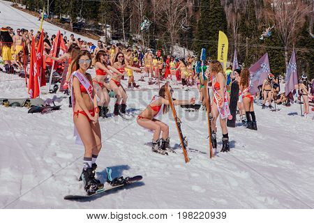 Group Of Young Happy Pretty Women On A Snowboard In Colorful Bikini.
