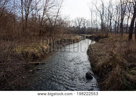 A creek in the Hammel Woods Forest Preserve in Shorewood, Illinois, leads to the Du Page River, during December.
