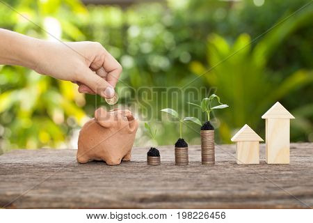Money and plant with hand's women putting golden coins in piggy bank Saving money concept concept of financial savings to buy a housetrees growing in a sequence of germination on piles of coins Growth business money.