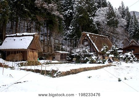 A farm in Shirakawa-go which has a collection of Gassho-Zukuri style buildings.