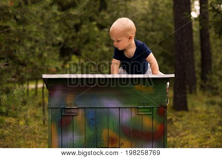 Adorable Toddler Sitting On The Colorful Box Against Blurred Nature Background. Cute Baby Boy On The