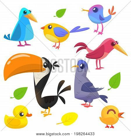 Cute cartoon birds collection. Cartoon set of colorful birds. Vector illustration