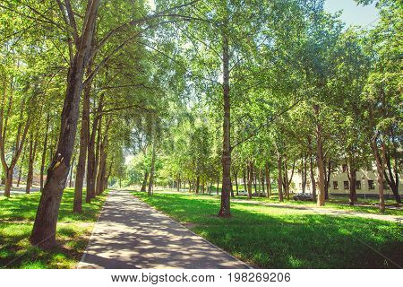 A deserted boulevard in the center of the city in bright sunny summer weather