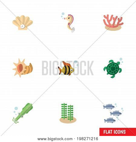 Flat Icon Marine Set Of Conch, Octopus, Seaweed And Other Vector Objects