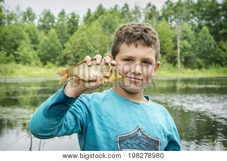 In the summer on a fishing little curly boyl caught a large carp.