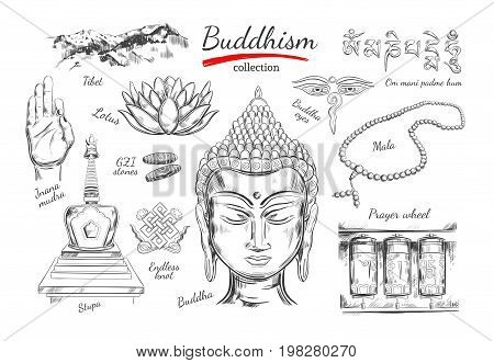 Buddhism collection. Spirituality, Yoga print. Vector hand drawn illustration. Sketch style. Ritual objects with Buddha head