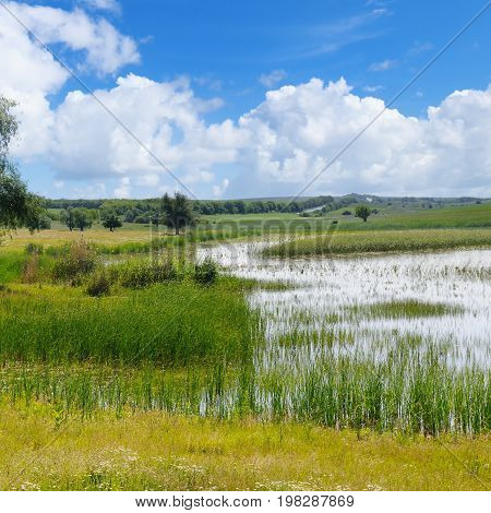 old lake with aquatic vegetation and picturesque meadows.