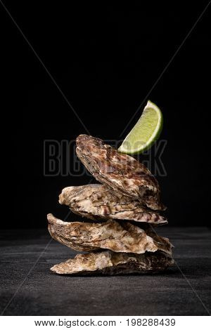 A close-up of four salty oysters on a black table background. Fresh sea mollusks and a piece of green lime. Expensive and tasty ingredients for gourmets. Traditional restaurant appetizer. Copy space.