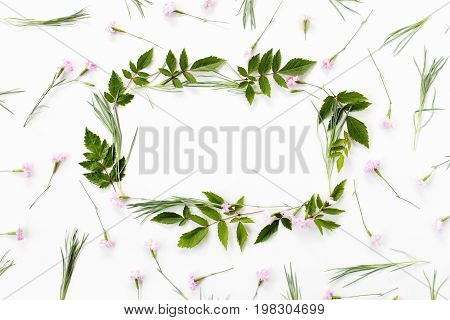 Flowers Composition. Frame Made Of Pink Carnation Flowers And Needle-shaped And Big Astilba Green Le