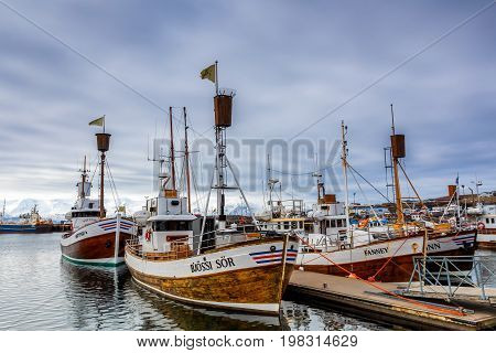 Traditional Whale Watching Boats Lying In The Harbor Of Husavik , Northern Coast Of Iceland