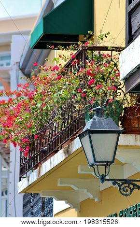 Wrought iron balcony entwined with Bouganvilla flowers on historic buildings