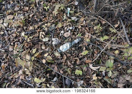 SHOREWOOD, ILLINOIS / UNITED STATES - DECEMBER 6, 2015: A discarded lemonade bottle lies among fallen dried leaves on the forest floor in the Hammel Woods Forest Preserve.