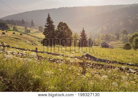 Summer sunrise in the village of Bucovina, Romania