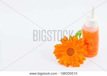 Homemede orange pot marigold (Calendula officinalis) flower oil