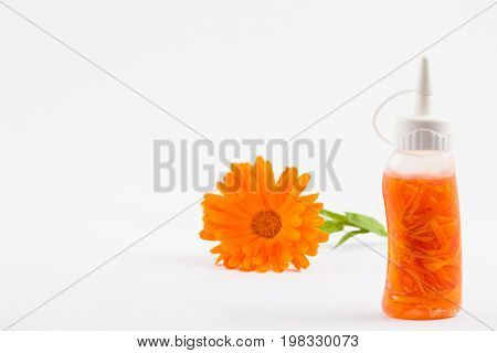 Homemede orange pot marigold (Calendula officinalis) flower oil