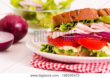 Sandwich toast bread with ham on white dish.