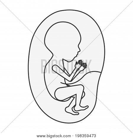 sketch silhouette of side view fetus human growth in placenta semestrer vector illustration