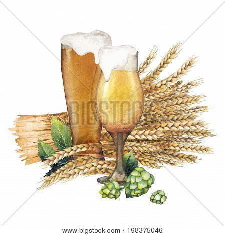 Two watercolor glasses of beer decorated with malts and hops. Hand painted alcoholic beverages isolated on white background